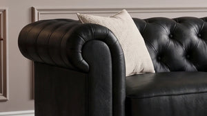 Leather-2Seater-Black_6_687986a5-3ff4-42b6-afa4-c6950cef4632